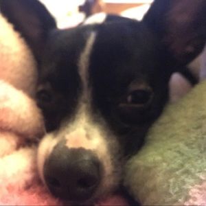 Meet your Posher, Annesofie